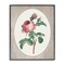 Stupell Industries Vintage Rose within Oval Framed Giclee, design by Lettered and Lined